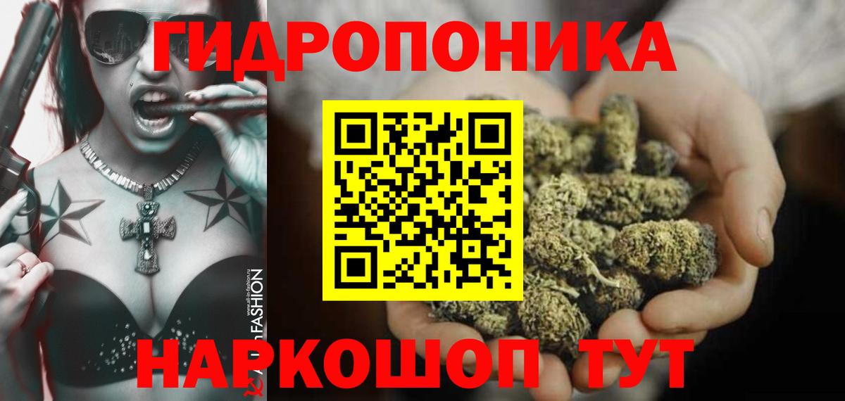 Шишки марихуана сатива Шелехов